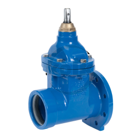 Flanged/Socket gate valves