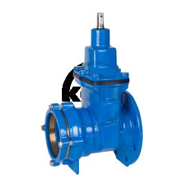 Flanged/tensile socket gate valves