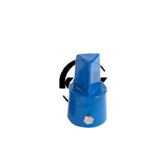 Stem cap